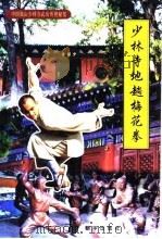 少林寺地趟梅花拳（1999 PDF版）