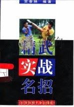 精武实战名招（1998 PDF版）
