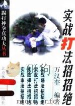 实战打法招招绝（1998 PDF版）