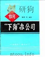 如何“下海”办公司？（1993 PDF版）