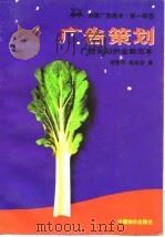 广告策划  广告策划的全新范本（1997 PDF版）