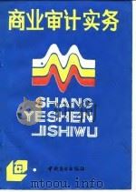 商业审计实务（1986 PDF版）