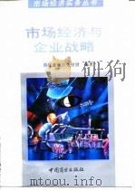 市场经济与企业战略 1994 PDF电子版封面 7504418927 张效廉,张世贤编著