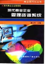 现代商业企业管理卷 现代商业企业管理咨询系统 1996 PDF电子版封面 7507813363 唐立军