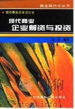 现代商业企业筹资与投资（1996 PDF版）