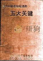 振兴中国市场经济的五大关键 1992 PDF电子版封面 7507805778 顾镜清等著