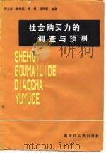 社会购买力的调查与预测（1984 PDF版）