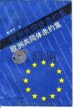 欧洲共同体条约集 1993 PDF电子版封面 730901104X 戴炳然译