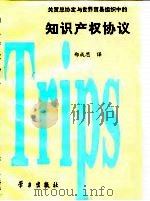关贸总协定与世界贸易组织中的知识产权协议  乌拉圭回合1994年最后文件中英文对照（1994 PDF版）