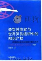 关贸总协定与世界贸易组织中的知识产权 关贸总协定乌拉圭回合最后文件〈与贸易有关的知识产权协议〉详解 1994 PDF电子版封面 7200024856 郑成思著