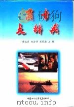 商务大辞典（1998 PDF版）