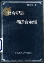 社会犯罪与综合治理 1994 PDF电子版封面 7562013306 郭成伟著