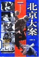 北京大案（1999 PDF版）