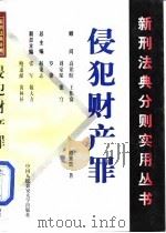 侵犯财产罪（1999 PDF版）
