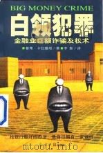白领犯罪  金融业巨额诈骗及权术（1998 PDF版）