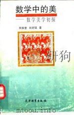 数学中的美  数学美学初探（1997 PDF版）