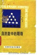 自然数中的明珠（1989 PDF版）