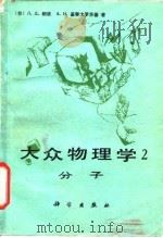 大众物理学 分子 1983 PDF电子版封面 13031·2358 (苏)Л·Д·朗道 A·И·基泰戈罗茨基