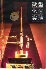 微型化学实验 1992 PDF电子版封面 7534104327 周宁怀,宋学梓主编