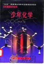 少年化学（1998 PDF版）
