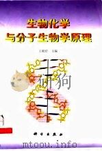 生物化学与分子生物学原理（1999 PDF版）