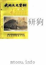 武冈文史资料 第1辑 1986 PDF电子版封面 中国人民政治协商会议武冈县委员会文史资料研究委员会