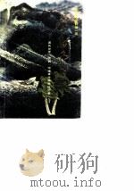 海南文史资料 第1辑 琼岛风雨 1989 PDF电子版封面 海南省政协文史资料委员会编