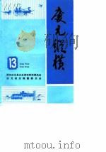 庆元纵横  13（1994 PDF版）