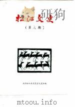 松江文史 第9辑 1987 PDF电子版封面 政协松江县委员会文史组