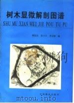 树木显微解剖图谱（1989 PDF版）
