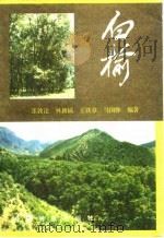 白榆（1984 PDF版）