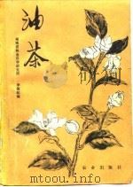 油茶（1980 PDF版）