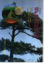 煤矿林业科技论文集（1993 PDF版）