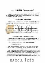 东北木材腐朽菌类图志 1982 PDF电子版封面 13031·1537 刘正南,郑淑芳,邵玉华