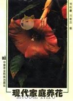 现代家庭养花（1994 PDF版）