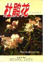 杜鹃花（1992 PDF版）