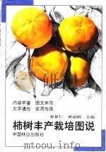 柿树丰产栽培图说 1997 PDF电子版封面 7503817143 栾景仁,梁丽娟主编