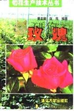 玫瑰（1998 PDF版）