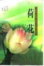 荷花（1998 PDF版）