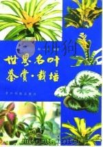 世界名叶鉴赏·栽培（1994 PDF版）