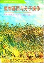 植物基因与分子操作（1995 PDF版）