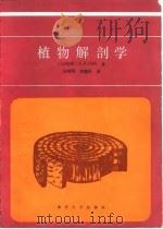 植物解剖学 1990 PDF电子版封面 7310002059 (以色列)法 恩(Fahn,A.)著;吴树明,刘德仪译