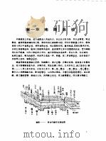 营造法原（1986 PDF版）