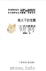 续编 炮火下的觉醒--卢沟桥事变 1996 PDF电子版封面 7563322469 荣维木