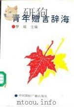 青年赠言辞海（1992 PDF版）