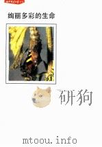 绚丽多彩的生命（1991 PDF版）