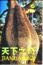 天下之奇（1991 PDF版）