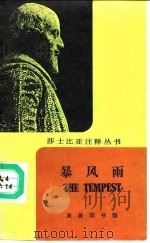 暴风雨（1990 PDF版）