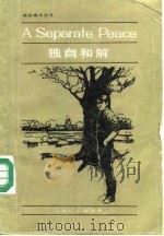 独自和解（1984 PDF版）