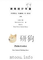 湖南统计年鉴  1999  总第17期（1999 PDF版）